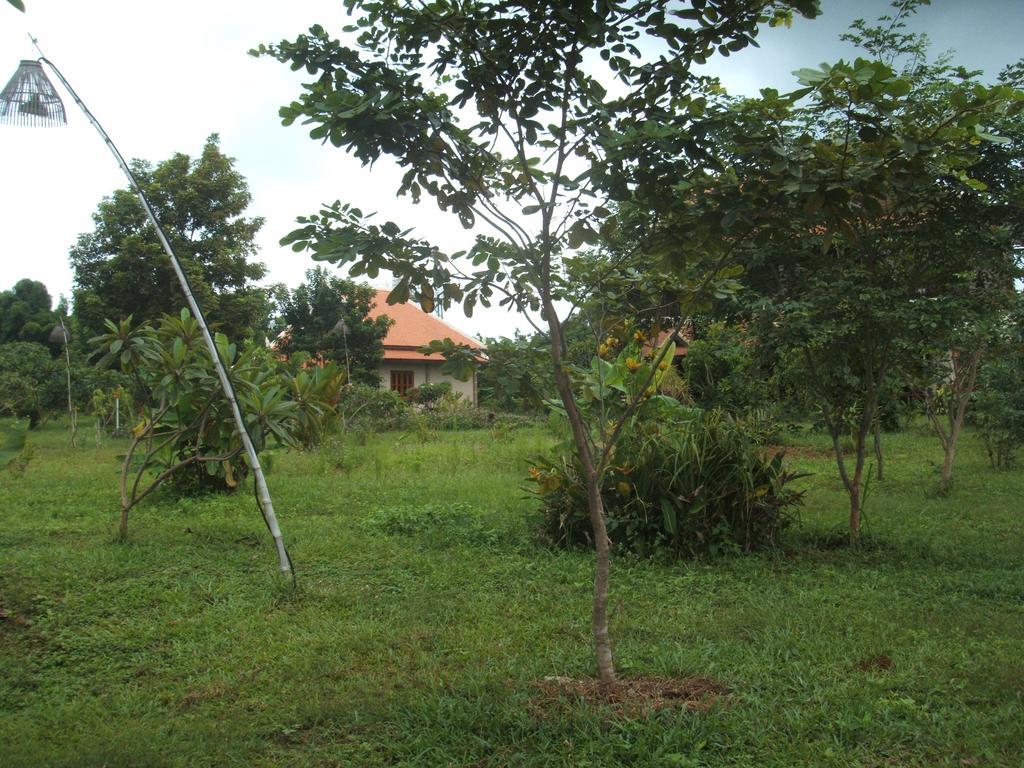 Green Plateau Lodge Banlung Extérieur photo
