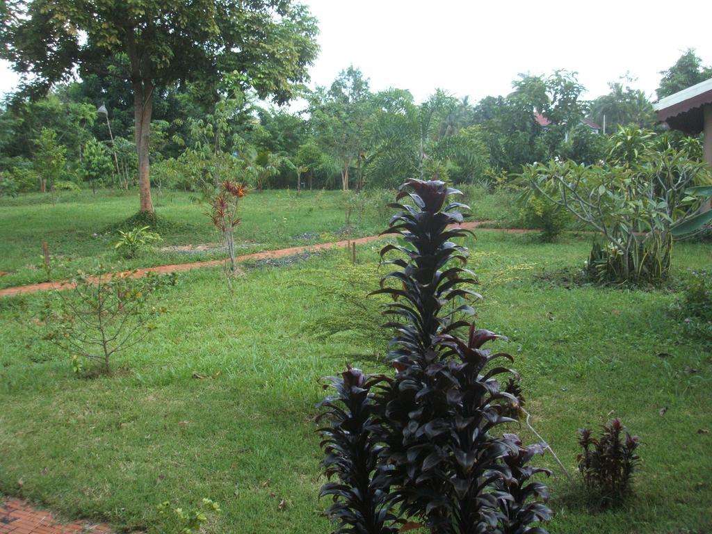Green Plateau Lodge Banlung Extérieur photo